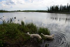 35B Lake On The Nature Walk At The Arctic Chalet in Inuvik Northwest Territories.jpg